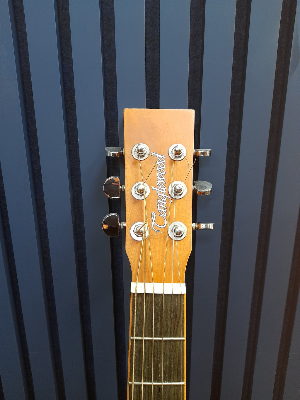 Tanglewood Acoustic Guitar, Grade B