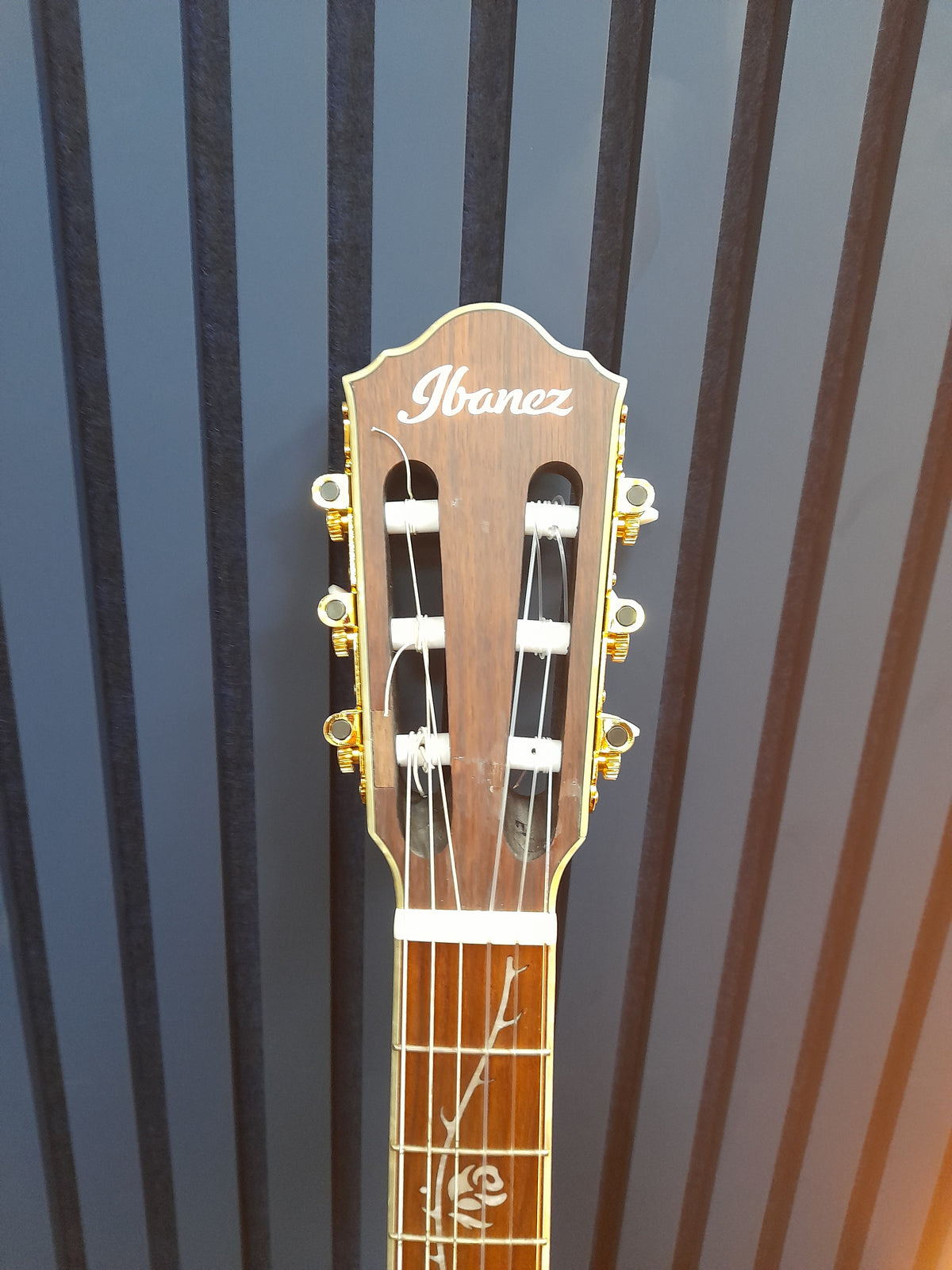 Ibanez Tod10N-Tkf Electric Guitar,Grade A