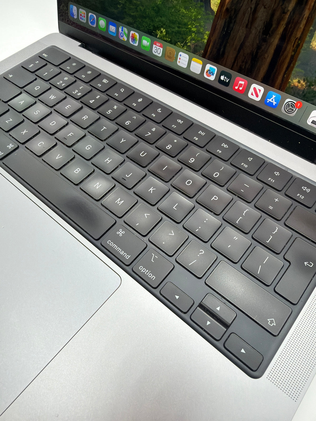 Apple MacBook Pro 14" M1 Pro 1TB Silver, Grade B