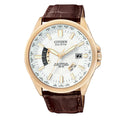 Citizen Ecodrive watch Brown, Grade B